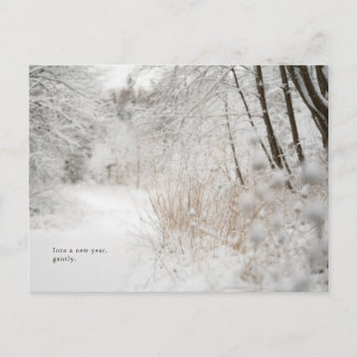 Minimal Winter Forest Path, New Year Helg Vykort