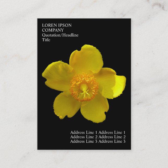 Minimala blommor - johannesört - svart visitkort (Framsida)