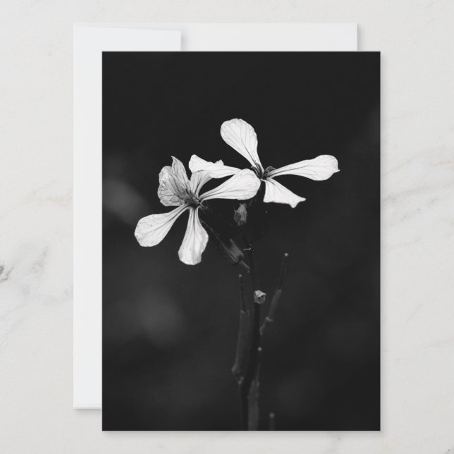 minimala svarta och vita blommor julkort (Framsida)