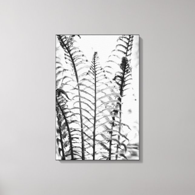 Minimalist Fern Lövs Black and White Botanical Canvastryck (Framsida)