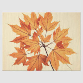Minimalist Maple Leaves Art – Botanical Print