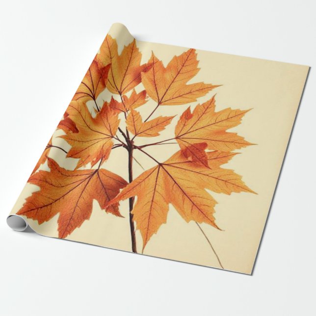 Minimalist Maple Leaves Art – Botanical Print Presentpapper (Utrullad)