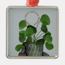 Minimalist Money Plant - Premium Square Ornament