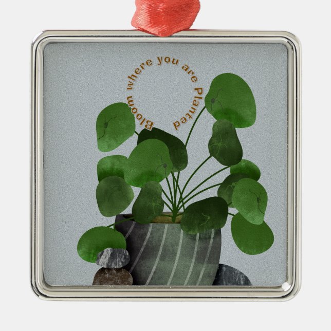 Minimalist Money Plant - Premium Square Ornament (Framsidan)