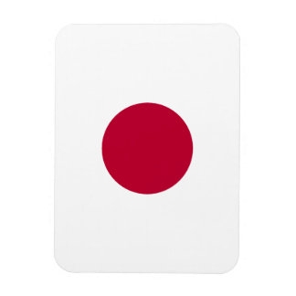 Minimalist Red Circle Design Spiral Magnet