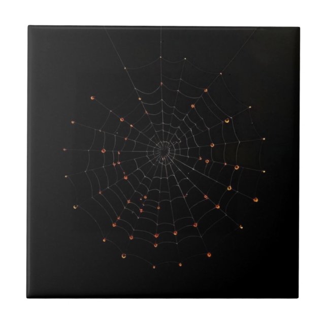 Minimalist Spider Web Halloween Ceramic Tile Kakelplatta (Framsidan)