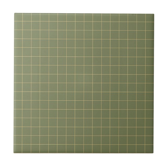 Minimalistisk återställning med djupgående Grönt o Kakelplatta (Framsidan)