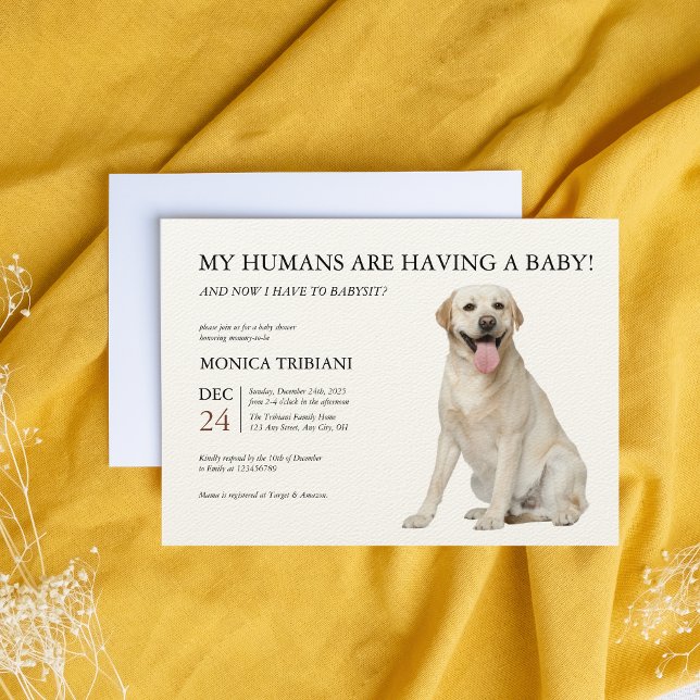 Minimalistisk babyvisare för Labrador Retriever Inbjudningar (Skapare uppladdad)