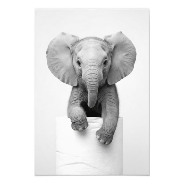 Minimalistisk Bebis Elefant som tittar över toalet Fototryck (Framsidan)