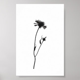 Minimalistisk Blommigt av Bläck-blomman i Abstrakt Poster