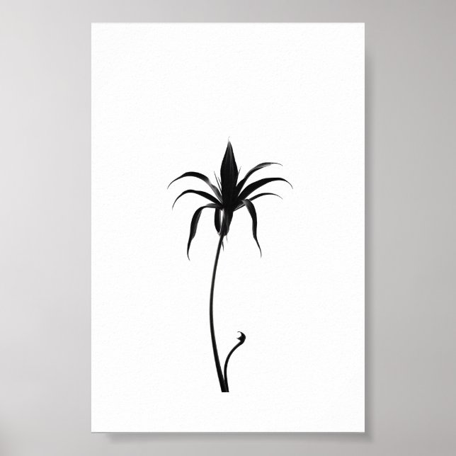 Minimalistisk Blommigt av Bläck-blomman i Abstrakt Poster (Framsidan)