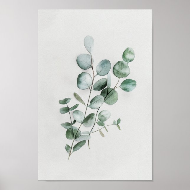 Minimalistisk botanisk eukalyptus i vattenfärg poster (Framsidan)