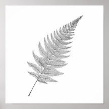 Minimalistisk botanisk tryck: Elegant fraktal ormb