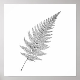 Minimalistisk botanisk tryck: Elegant fraktal ormb Poster