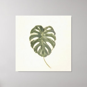 Minimalistisk brokig Monstera-blad Vintage Crème Canvastryck