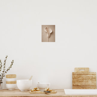 Minimalistisk Callalilja Väggkonst