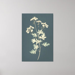 Minimalistisk Cilantro Löv Canvastryck