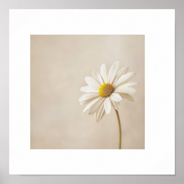 Minimalistisk Daisy Blomma Affisch – Neutral Beige (Framsidan)