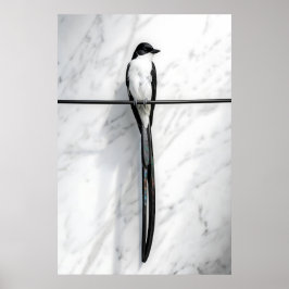 Minimalistisk Fågel på Tråd Fotografi Poster