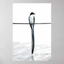 Minimalistisk Fågel på Tråd Fotografi