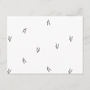 Minimalistisk Fågel Postkort Svart Vitt Mönster Ko Vykort