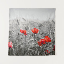 Minimalistisk foto av orange Poppy Flower Fält