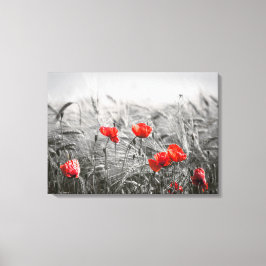 Minimalistisk foto av orange Poppy Flower Fält Canvastryck