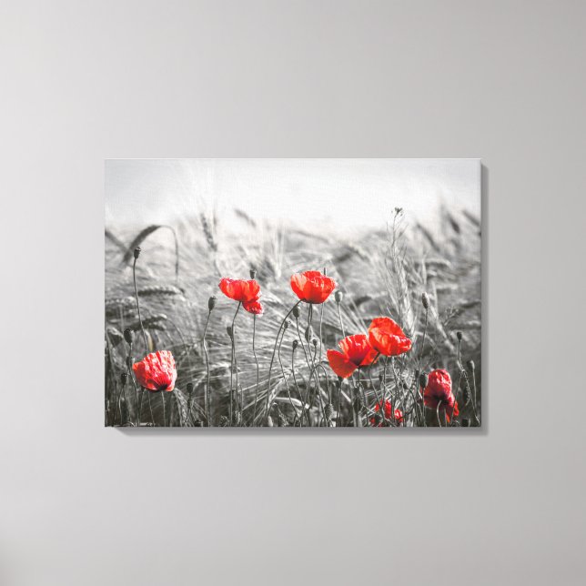 Minimalistisk foto av orange Poppy Flower Fält Canvastryck (Framsida)