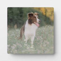 Minimalistisk foto-minnessaker Hund Förlust Minne