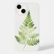 Minimalistisk Grönt Fern Botanical Illustration