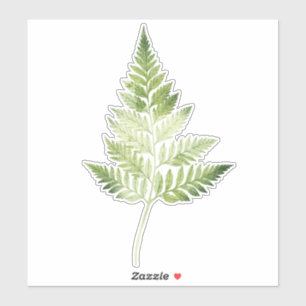 Minimalistisk Grönt Fern Botanical Illustration Klistermärken