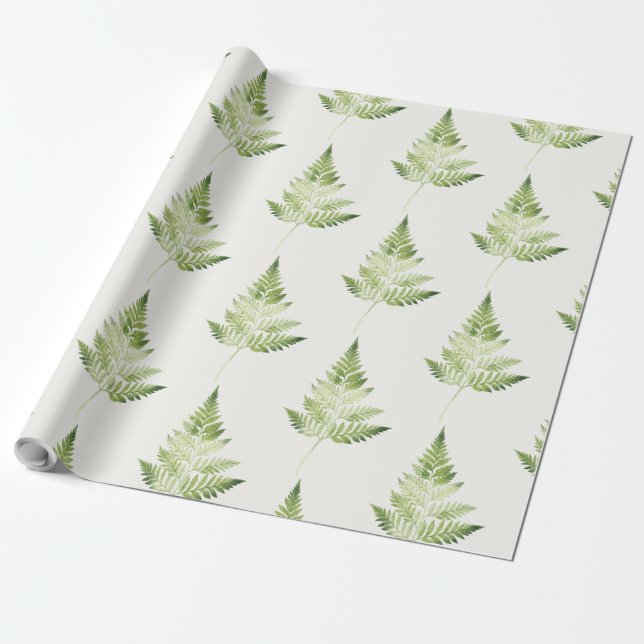 Minimalistisk Grönt Fern Botanical Illustration Presentpapper (Utrullad)