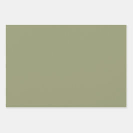 Minimalistisk Grönt för olivesage med fast Färg