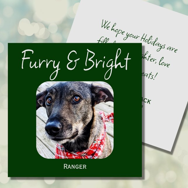 Minimalistisk Grönt Pet-jokertecken för fotopapper Julkort (Skapare uppladdad)