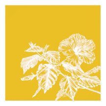 Minimalistisk Hibiscus Flower Line Art