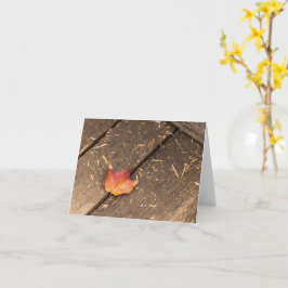 minimalistisk höstfotografi med lönnlöv kort