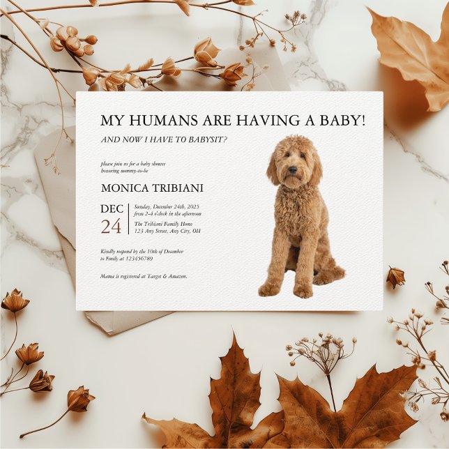 Minimalistisk inbjudan till Golden Doodle Baby Sho (Toy Poodle Apricot Baby Shower Funny Invitation)