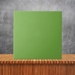 Minimalistisk joyous Grönt Plain Solid Färg #73A94 Kakelplatta<br><div class="desc">Minimalistisk joyous Grönt Plain Solid Färg #73A942</div>