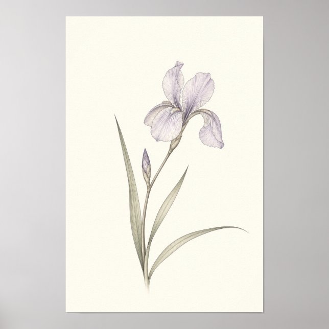 Minimalistisk lila iris botanisk väggkonst (Framsidan)