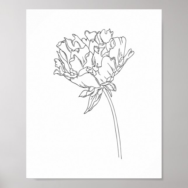 Minimalistisk linje teckning poster peonblomman (Framsidan)