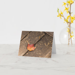 minimalistisk lönnlöv höstfotografi kort
