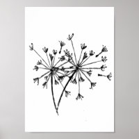Minimalistisk Maskros Digital Skisskonst Svart