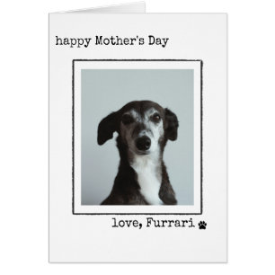 Minimalistisk mors dag fotokort från hunden hälsningskort