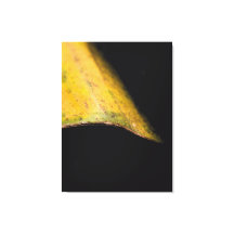 Minimalistisk Naturfotografi Löv i Skugga