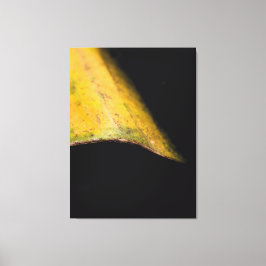 Minimalistisk Naturfotografi Löv i Skugga Canvastryck