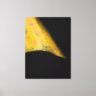 Minimalistisk Naturfotografi Löv i Skugga Canvastryck