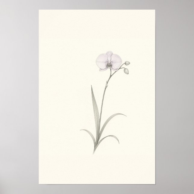 Minimalistisk orkidé botanisk skiss väggkonst (Framsidan)