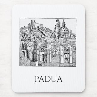 Minimalistisk Padua Medeltida Stadssiluett Linjeko Musmatta