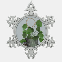 Minimalistisk penningväxt -