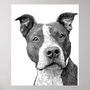 Minimalistisk Pitbull Siluett Svart och Vitt Poster